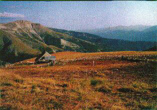 Cabane.jpg (47141 octets)