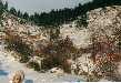 Cherchez le petit lapin blanc (l'amphithéâtre naturel de Peyresq)
