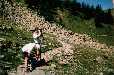A la recherche de chamois