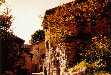Peyresq dans toute sa splendeur: rue tra le Four