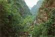 Les gorges du Cians