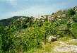Peyresq vu du chemin qui menait à Méailles et conduit maintenant à la Vaïre