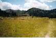 Petits montons et grandiose paysage (Mercantour)