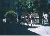 Tournoi de pétanque