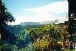 Peyresq