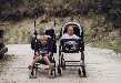 Diane et Robin sur un sentier autour de Thorame-Haute