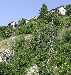 Cabanes peyrescanes
