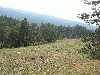 Les ruches de Champlate