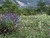 Aux alentours de Thorame